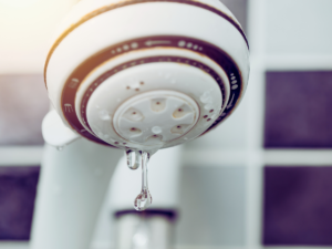 leaking showerhead