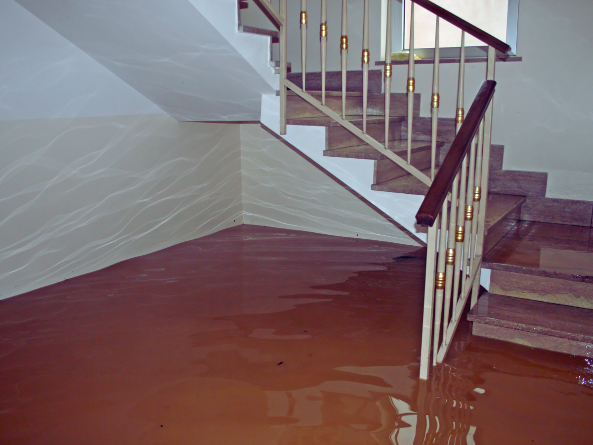 Flooded room in Florida home that needs sump pump