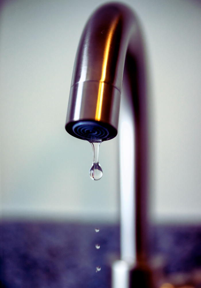 Leaking kitchen faucet 